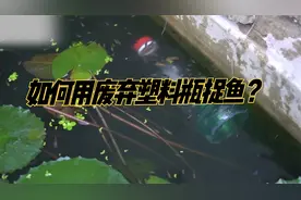 废弃塑料瓶也能捕鱼？用废弃瓶子制作地笼，看看效果怎么样视频封面