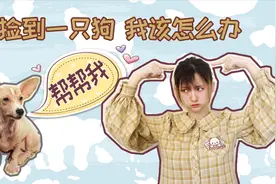 捡到这么乖的狗我却不能养也不能扔 到底应该怎么办视频封面