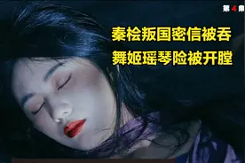 秦桧叛国密信被吞，舞姬瑶琴险被开膛
