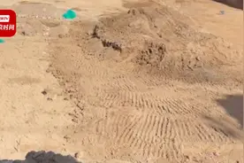 陕师大回应在建宿舍疑似挖出古墓：目前正在发掘，还未发现古墓视频封面