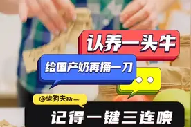 你知道它们吹嘘的奶牛每天80元伙食费，实际只有十几块吗？视频封面