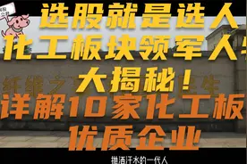 选股就是选人？化工板块领军人物大揭秘！详解化工10家优质企业！视频封面