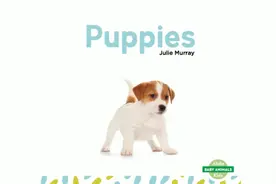 国外原版阅读：Puppies 小狗