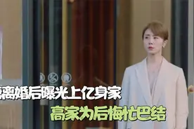方糖离婚后曝光上亿身家，高家为后悔忙巴结，马晓鸥嫉妒到眼红视频封面