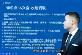 考研-生理学-兴奋-收缩偶联