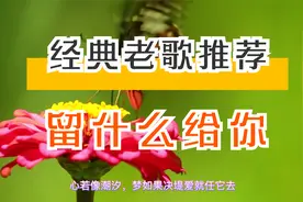 经典老歌推荐《留什么给你》视频封面
