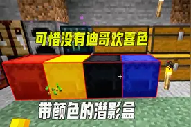 我的世界1.16联机217：我做4个带颜色的潜影盒，可惜没迪哥欢喜色视频封面
