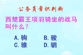 公务员常识判断，西楚霸王项羽骑坐的战马叫什么？长见识啦视频封面