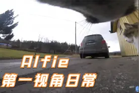 【猫咪第一视角】驻足观看路上的交通视频封面