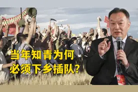 当年知青为何下乡插队，真的是去援助农村吗？温铁军讲述真实历史视频封面