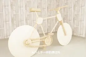 老外制作木头自行车，200块钱的成本，骑出2000块的既视感视频封面