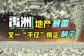 禹洲地产暴雷，又一“千亿”房企躺平！视频封面