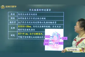 女性内生殖器的邻近器官：尿道、膀胱、输尿管、直肠、阑尾的特点视频封面