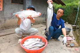 小伙是不是钓鱼钓傻了，40块一斤的大翘嘴拿来做鱼干，暴殄天物视频封面