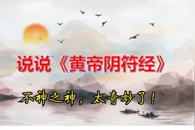 《黄帝阴符经》的学问第十讲，“不神之神”很妙很妙视频封面