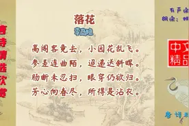 落花 唐代 李商隐闲居永业，心情郁闷，故本诗流露出幽恨之情视频封面