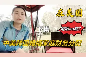国外夫妻aa制？看下我们中美婚姻家庭财务分配方式，因人而异视频封面