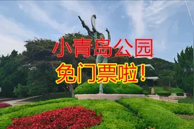 小青岛公园，出片率蛮高的小景点，门票免费直到年底。视频封面