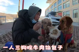 甘德县早餐牛肉包子搭配紫菜汤味道一流，狗狗对茶叶蛋情有独钟