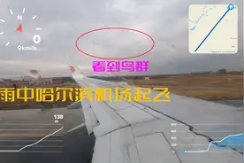 雨中哈尔滨机场起飞，降落航线上看到大批鸟群。视频封面