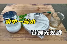 家中一碗水，苍蝇无处逃，简单方便效果好，来多少灭多少
