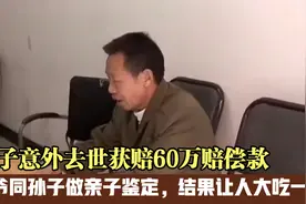 儿子去世获赔60万，爷爷同孙子做亲子鉴定，结果让人大吃一惊视频封面