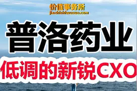 双重底部，普洛药业，急速崛起低估值CXO新锐，下一个药明康德？视频封面