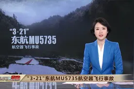 “3·21”东航MU5735航空器飞行事故残骸搜寻基本完成视频封面
