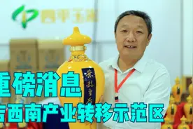 重磅消息，事关四平市。视频封面
