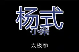 杨少侯的小架从不轻易示人 杨老师演绎这一小段 惊艳全场视频封面