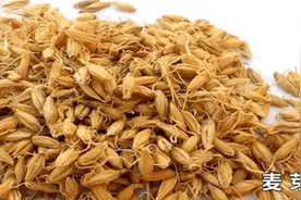 大麦茶有什么作用呢？老中医现场讲解，看完记得转给家人视频封面
