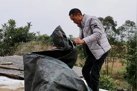 魏二姐急急忙忙来找大娃，说房顶吹垮了，大家齐心协力帮忙！视频封面