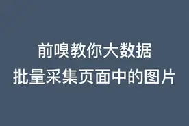 前嗅教你大数据：批量采集网页中的图片数据视频封面