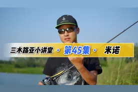 路亚钓鱼，米诺的种类，以及如何操作视频封面