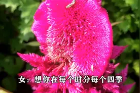 刚出的情歌对唱，太好听了，发到朋友圈里，朋友一定会爱死你了！