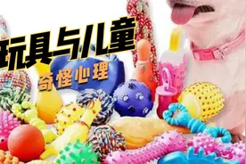 2、从玩具中了解儿童的心理需求？ | 儿童压力 | 儿童情感 | 疏导视频封面