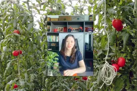 我国研发最强杀菌剂，果树裂果、腐烂一喷就好，用完一季不反复视频封面