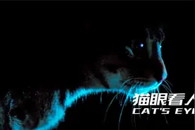 女孩被妖怪索命，猫咪半夜救下主人，惊悚电影《猫眼看人》视频封面