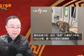 地铁上现“猛虎”？！目击者：它主人还骑上去了