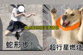 盘点那些搞笑表情包，看完你就知道你闺蜜为啥单身了赶紧艾特她！