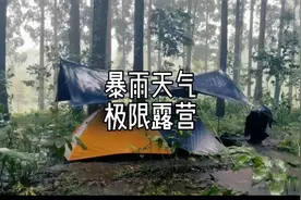 两位小哥结伴在暴雨天气去丛林中露营，喝咖啡，做美食！视频封面
