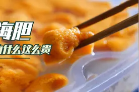 海胆做为海洋中最多的生物之一，那为什么还会卖的如此昂贵视频封面