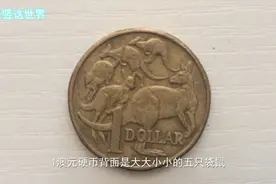 澳大利亚的1元硬币视频封面