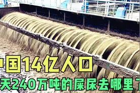 中国人每天产生240万吨屎尿，都排在了哪里？真的循环回家了吗视频封面
