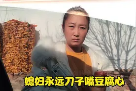 因为前夫小凯和平平又吵架，平平驱车30里来道歉，小凯暴脾气来了视频封面