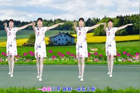 初学入门广场舞《你是我的玫瑰花》8步附教学，一学就会