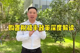 汽车购置税减半开始实施，2.0L及2.0L以下享受，具体政策解读