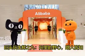 从月工资三到六万，看阿里入局生鲜社区团购的野心，不会一家独大