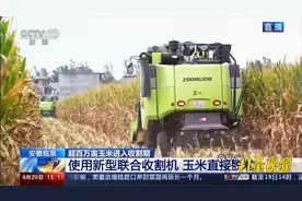 临泉：使用新型联合收割机，超百万亩玉米进入收割期|新闻直播间视频封面