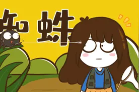 蜘蛛是怎么在两个相隔那么远的地方扯起第一根丝的？视频封面